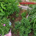 my childhood dog's resting place in the garden