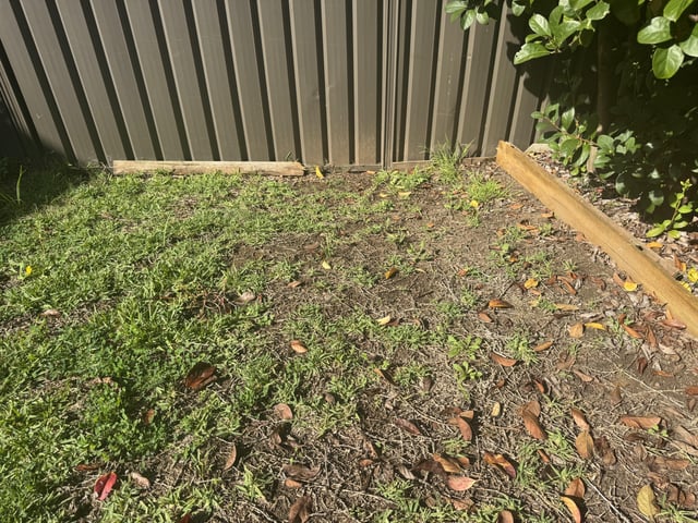 how do i bring back this patch to life for planting?
