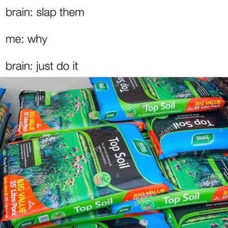 i hope memes are allowed on this sub