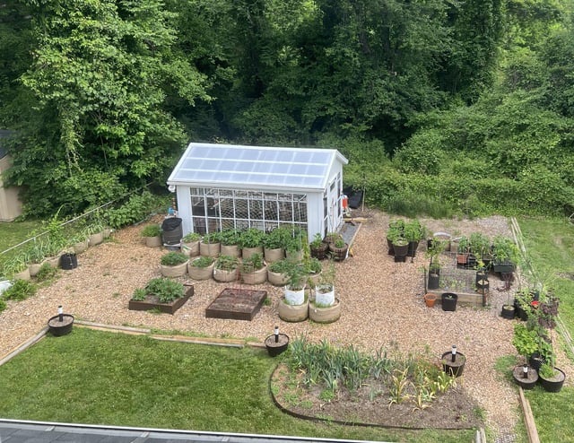 my backyard garden in the woods
