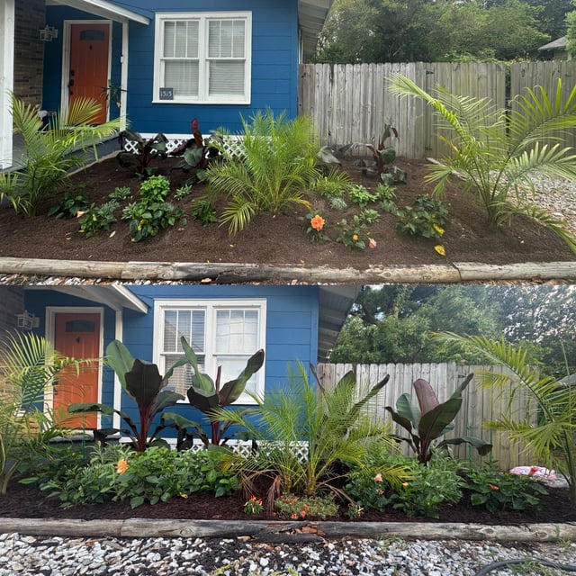 my herb and tropics garden april 4th then may 14th.