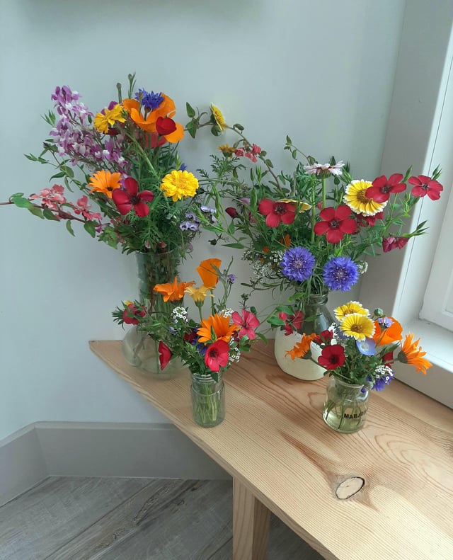 Wildflowers from the garden – Reddit Post