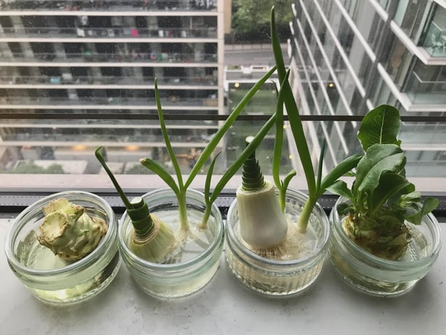 no outdoor space, just a window and a lot of trying hope this still counts 🙂