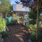 gardening vibes 2025