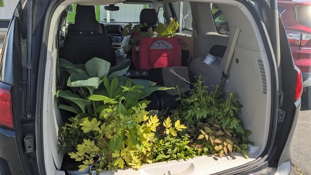 love a good plant sale!