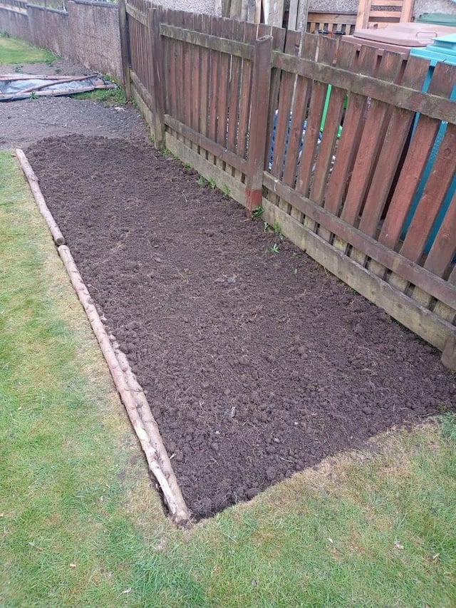 New bed I dug this afternoon