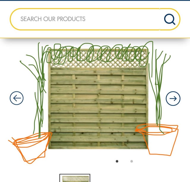 what climbers could i grow in pots to train on a fence panel like this?