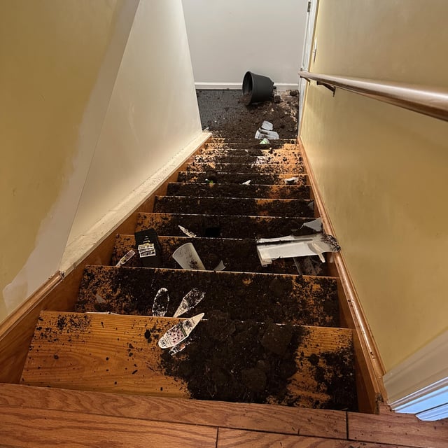 Spring Gardening Is Off To A Wonderful Start For My Mom – Reddit Post