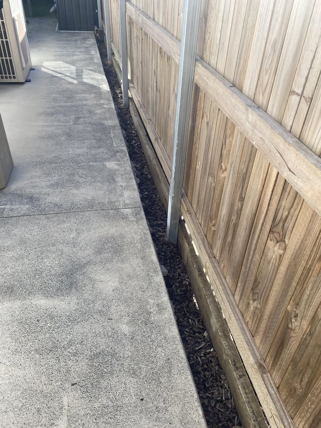 what to plant in this space?