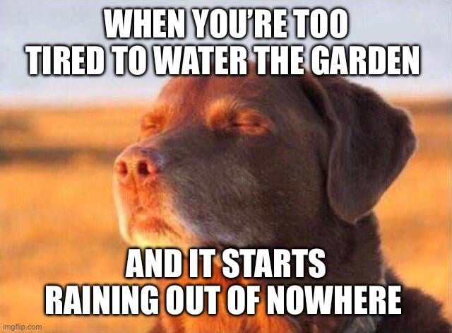 🌦️