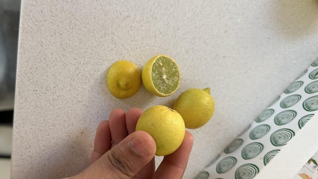 need help with this citrus tree identification.