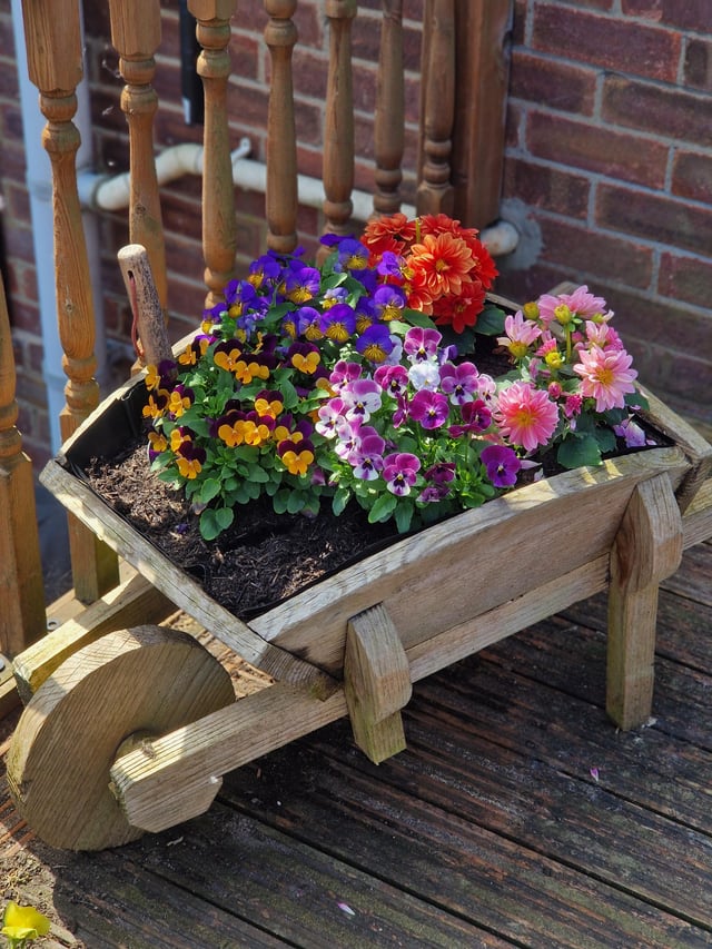 my little wheelbarrow of flowers 💐