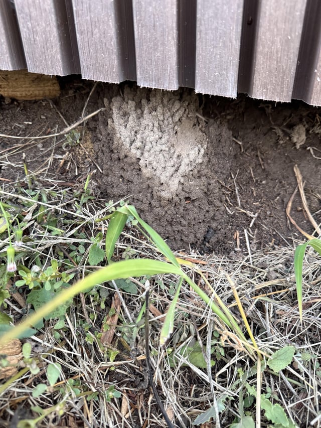 what is this and should i be worried?