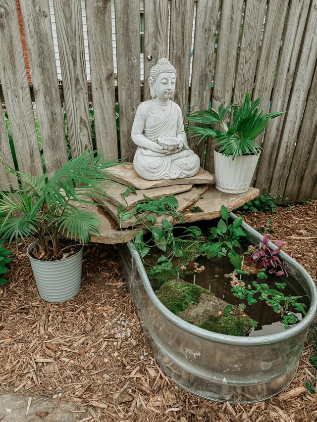 phase 1 of my water garden!