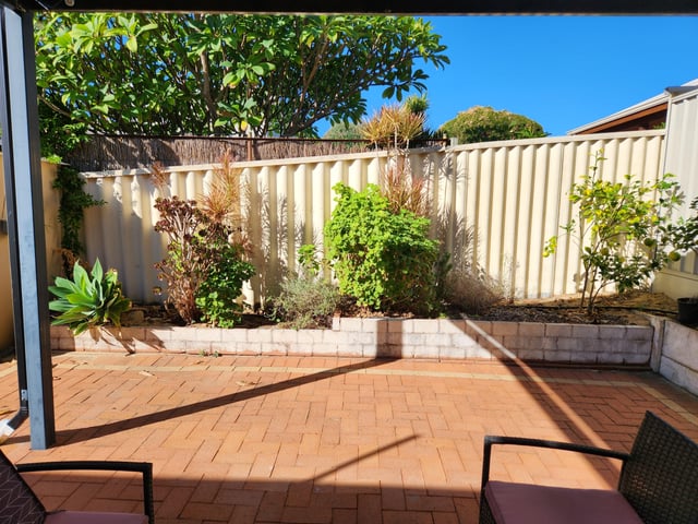ideas for garden spruce up please (wa)