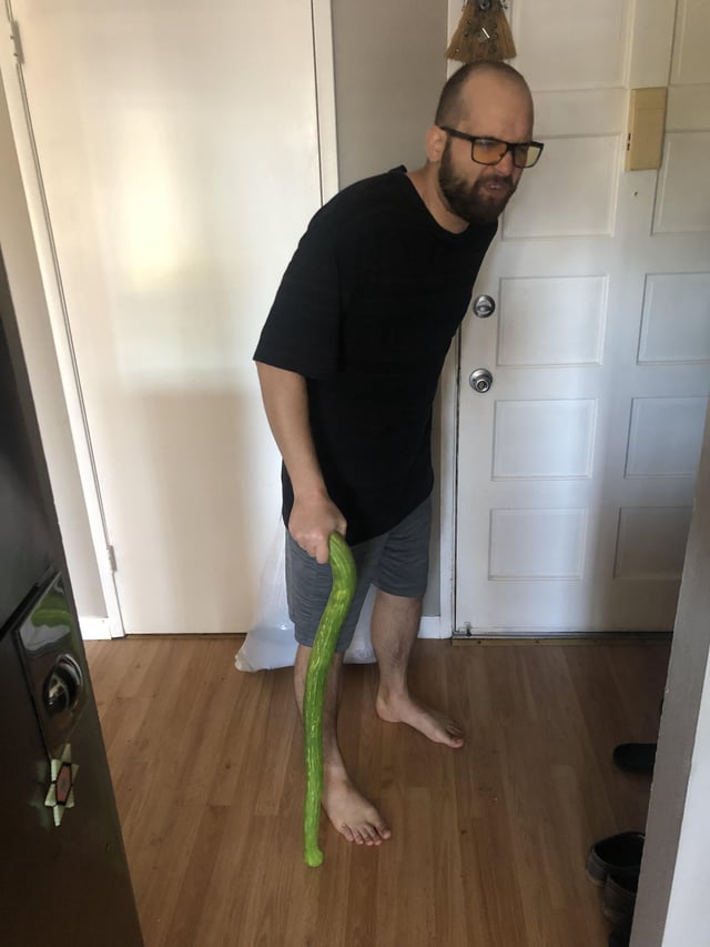 We grew some zucchini (: – Reddit Post