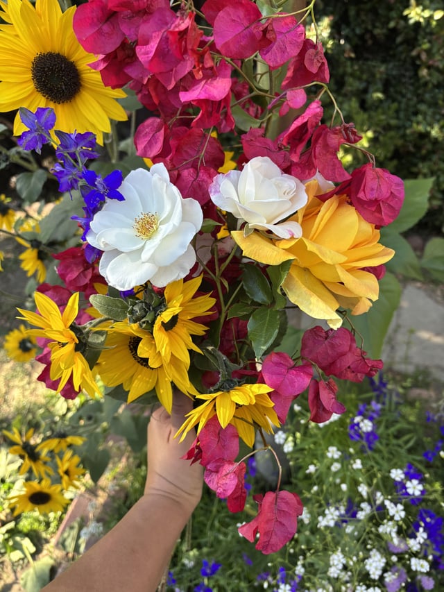 Bouquet from my garden – Reddit Post