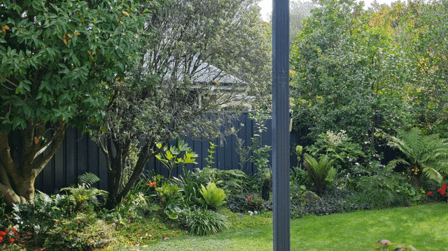 New Garden – Reddit Post