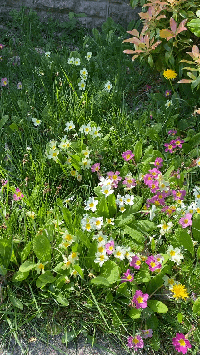Bees are productive today! 🐝 – Reddit Post