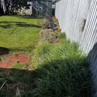 Getting rid of grass/runners from ground and barrels