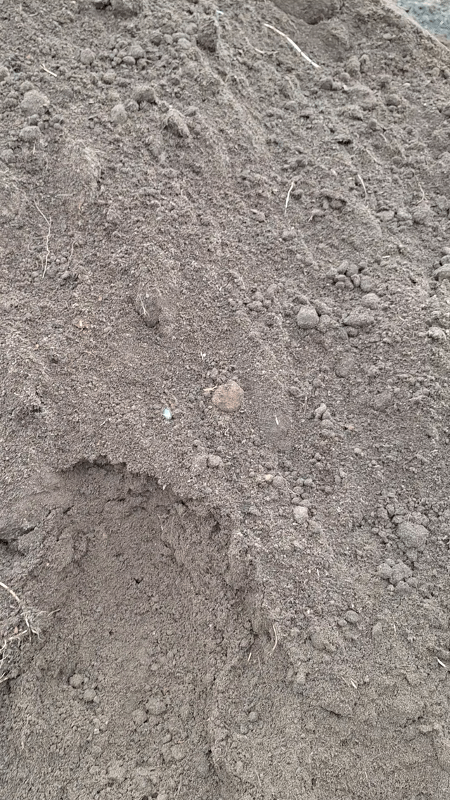 Is this even manure or just dirty sand? – Reddit Post
