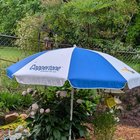 Heavy Rain Solution for Blooming Peonies – Reddit Post