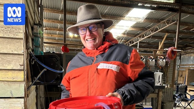 brewed biofertiliser is getting some news action. has anyone tried this on a smaller scale or with alternative manure? chicken manure for example.