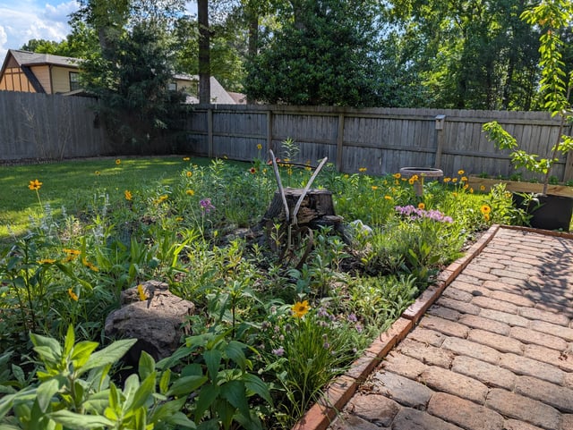 my pollinator garden