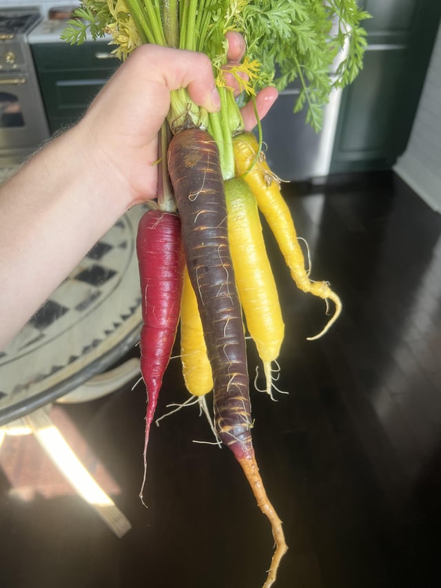 First try growing carrots! – Reddit Post