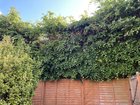 first time gardeners. big plans, little knowledge. how can i deal with this?