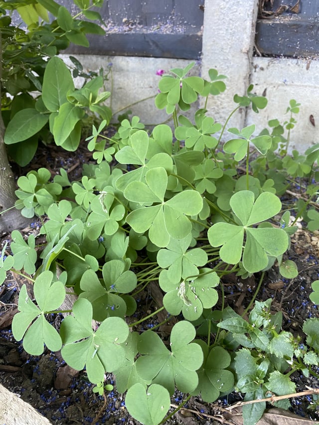could someone please tell me what these are and if i should keep them or get rid of them