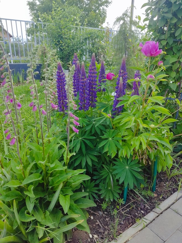 spring is finally here