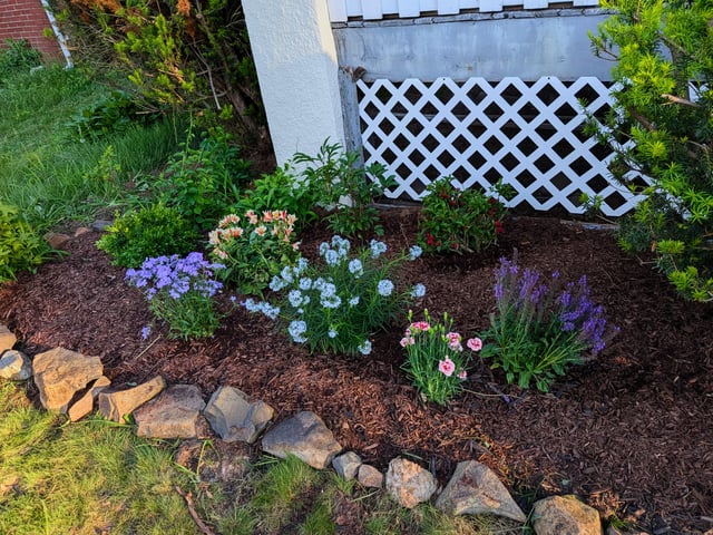 i have no idea what i'm doing. please give suggestions (central nj)