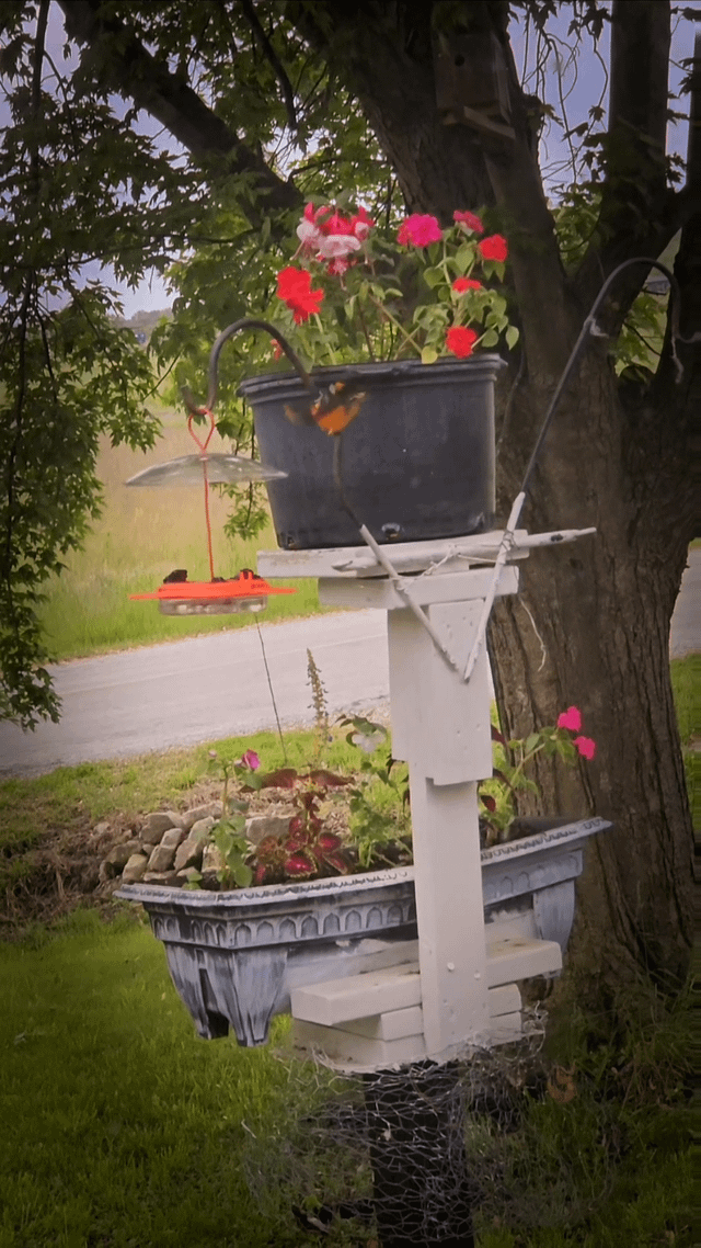 perfect mornings, get to look at my planters and the birds
