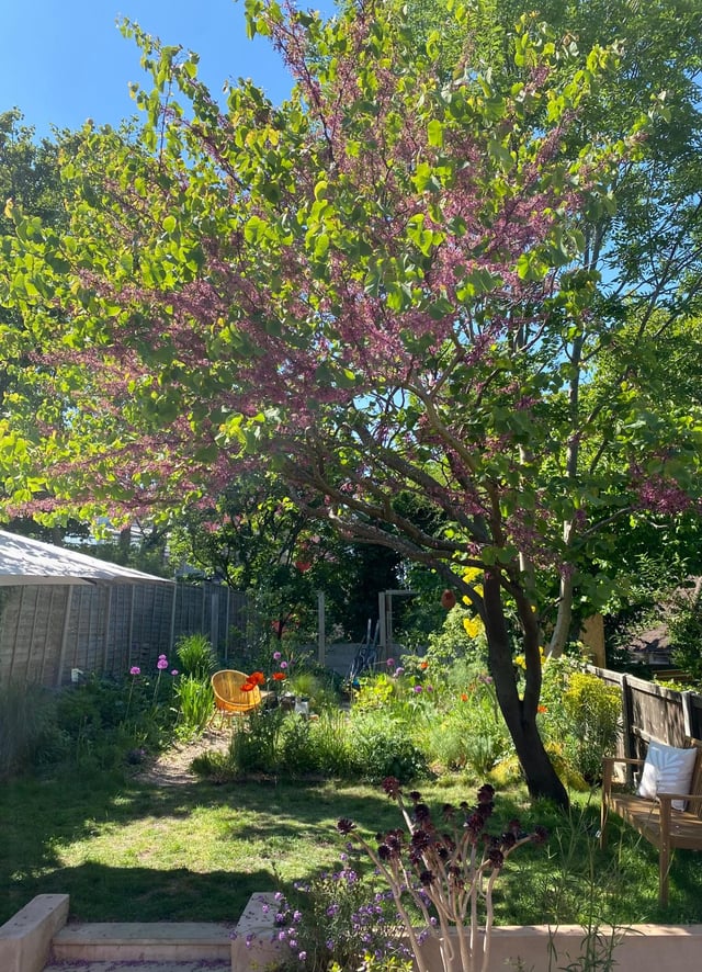 three years ago this was covered in old tyres and bamboo