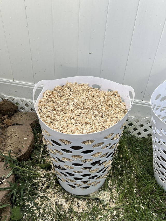 my first potato tower