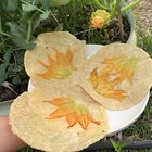 we found a way to use up all those squash blossoms