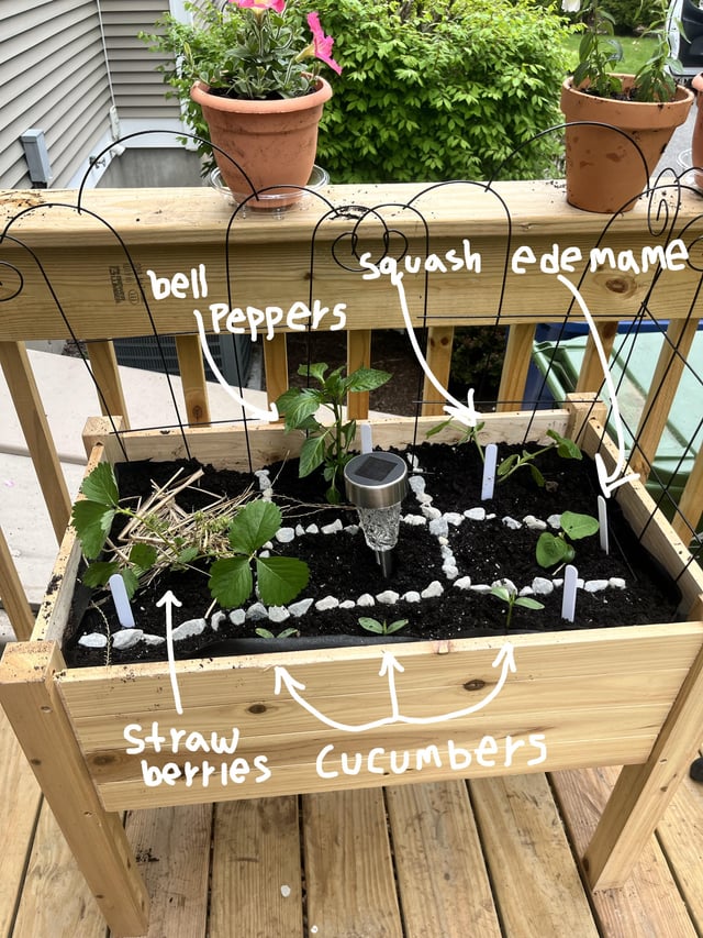 First raised garden, how did I do? – Reddit Post