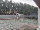 planting under pine trees