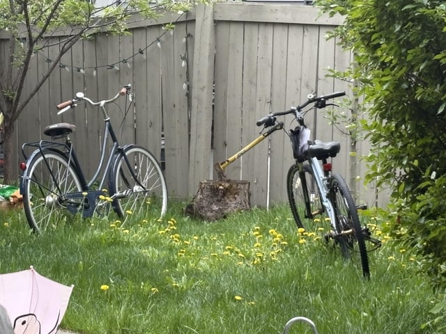 does anyone else love dandelions in their yard?