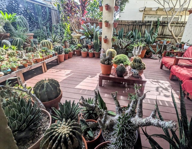 another view of my patio garden
