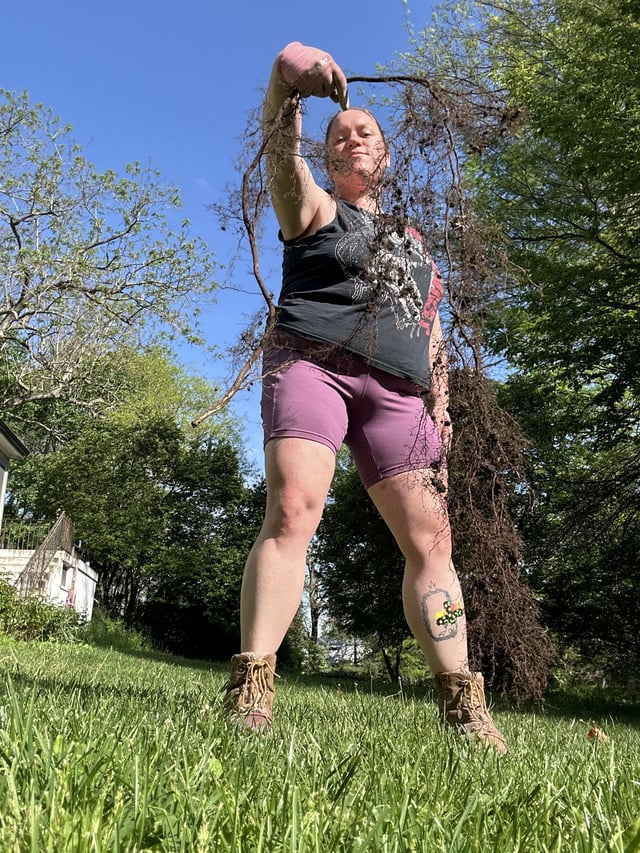 I have decided to take pics with big roots I pull like dudes take pics with their fish 🤣 – Reddit Post