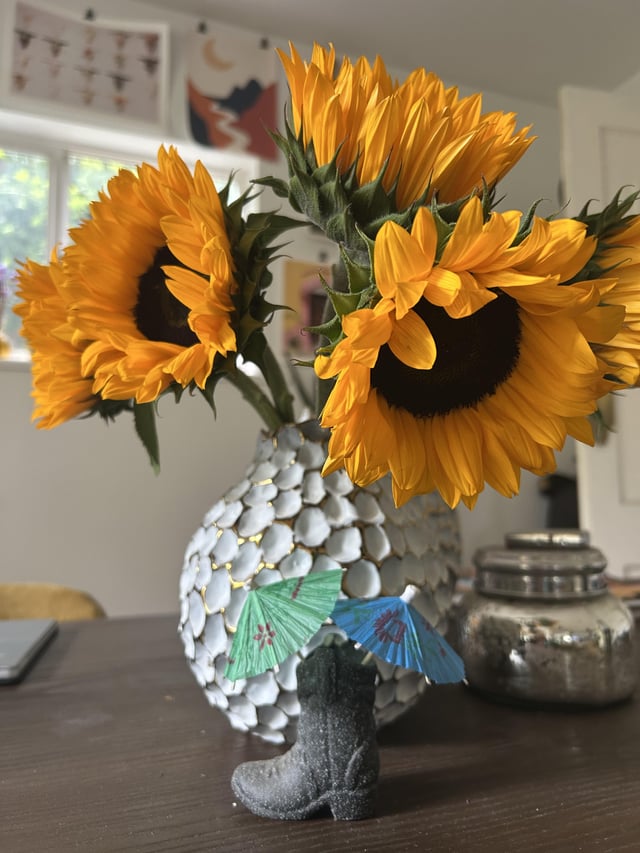 ☀️☀️☀️