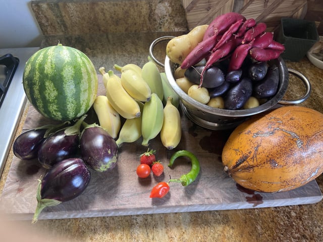 nice little harvest today…