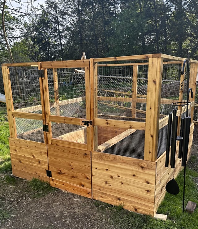 groundhogs kept eating my veggies