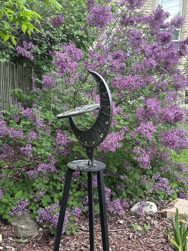 our backyard smells like heaven