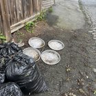 someone stole my growbags, potato plants, and two saucers :(