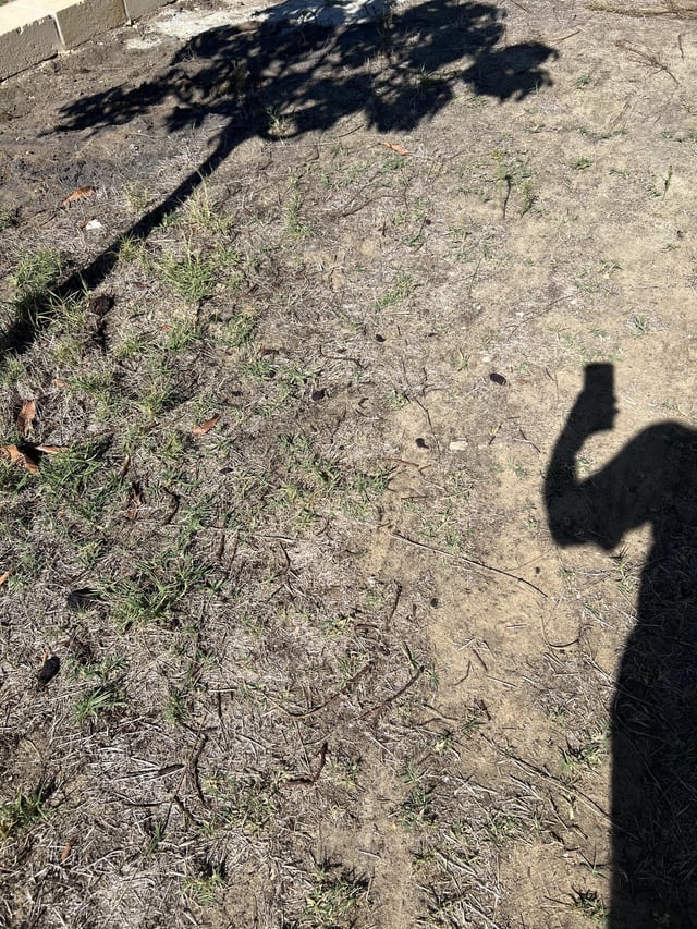 in desperate need of advice!