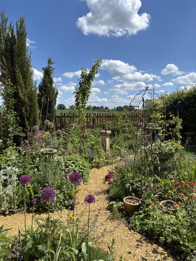 so pleased with how everything is filling out!