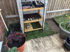 the grass was struggling here so i turned it into a mini potted garden